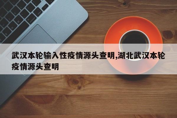 武汉本轮输入性疫情源头查明,湖北武汉本轮疫情源头查明