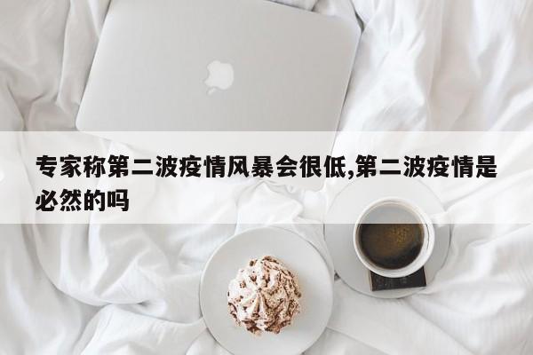 专家称第二波疫情风暴会很低,第二波疫情是必然的吗