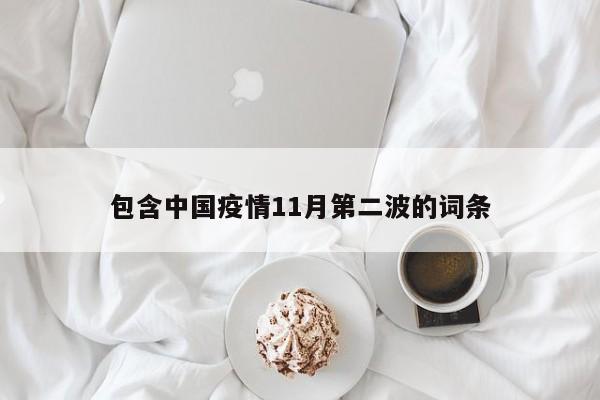 包含中国疫情11月第二波的词条