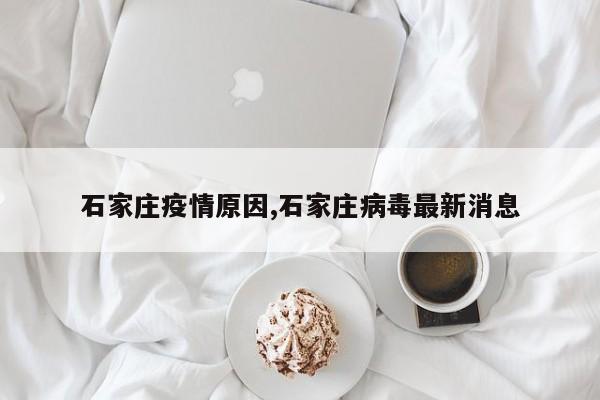 石家庄疫情原因,石家庄病毒最新消息